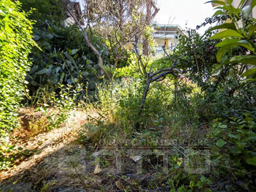 Immagine 35 di Appartamento in vendita  in Via Duca degli Abruzzi n.81 a San Remo