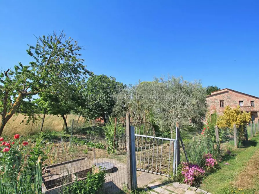 Immagine 2 di Rustico / casale in vendita  in Via Del Capannone a Torrita Di Siena
