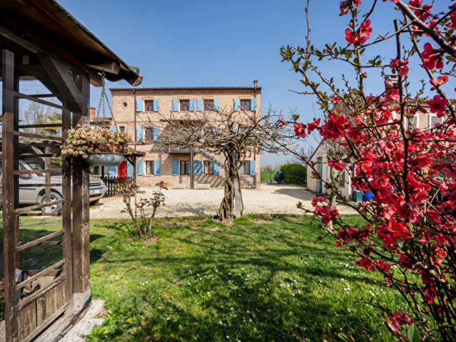 Immagine 3 di Casa indipendente in vendita  in VIA SANT'APOLLONIA a Cologna Veneta
