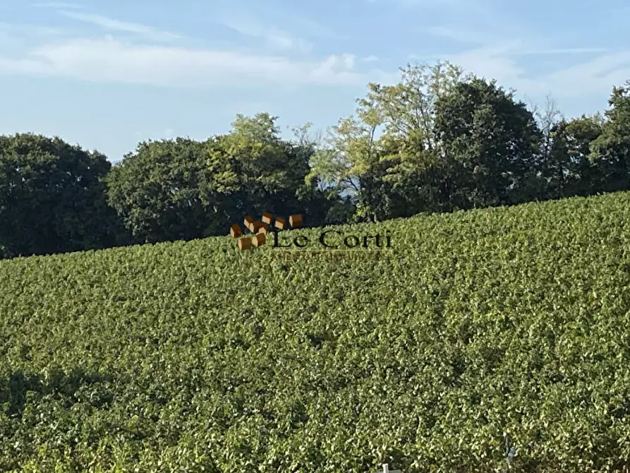 Immagine 5 di Terreno in vendita  a Lonigo