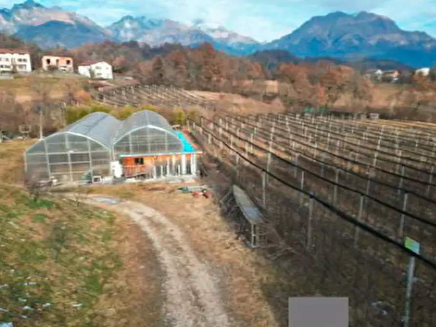 Immagine 4 di Magazzino in vendita  in Via Mier, 238 a Belluno