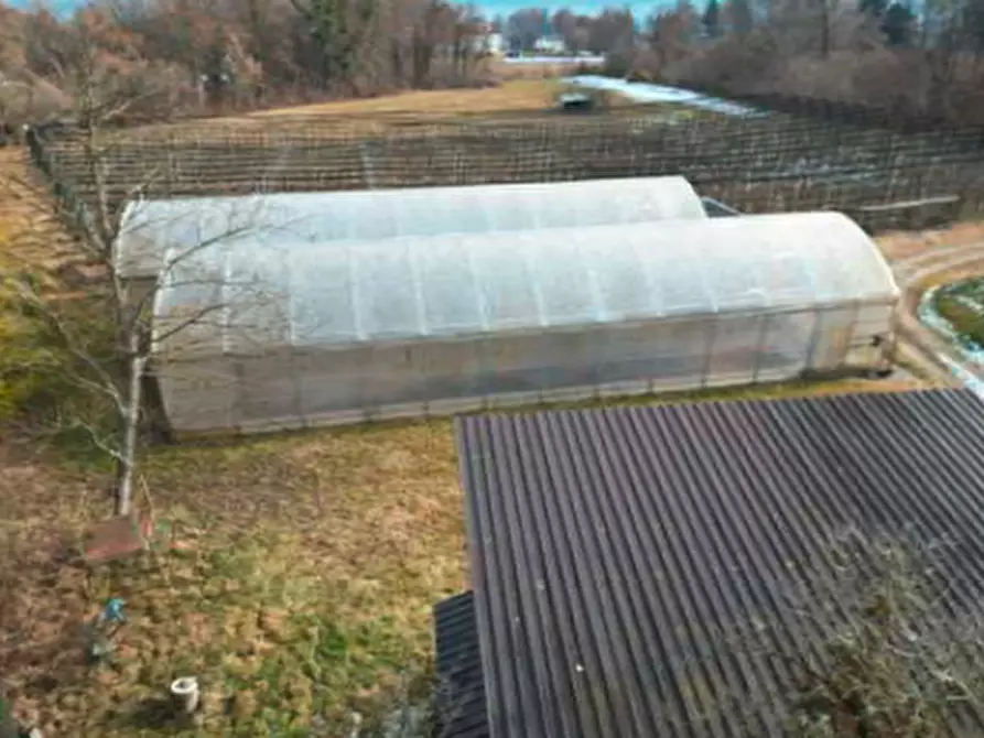 Immagine 5 di Magazzino in vendita  in Via Mier, 238 a Belluno