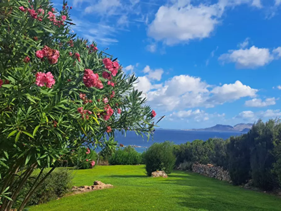 Immagine 56 di Villetta a schiera in vendita  in Via Su Sarrale a Loiri Porto San Paolo