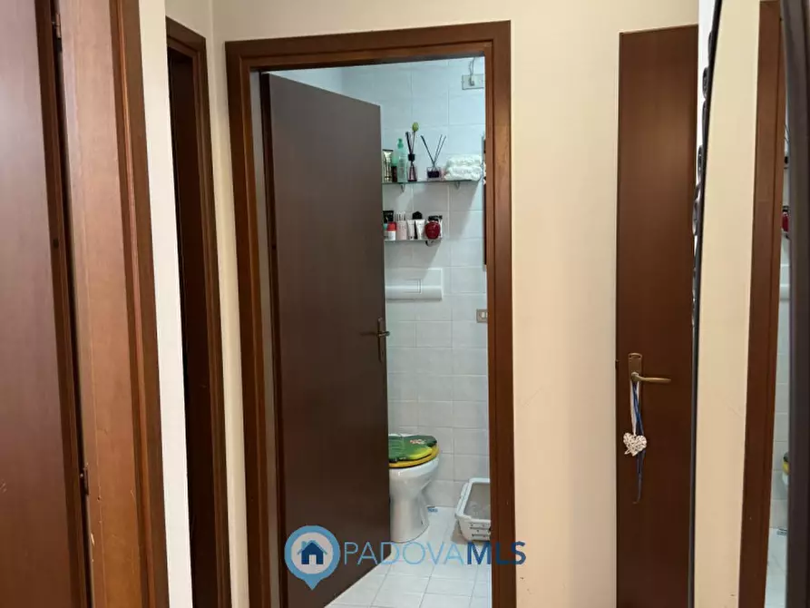 Immagine 9 di Appartamento in vendita  in Via San Pio X a Veggiano