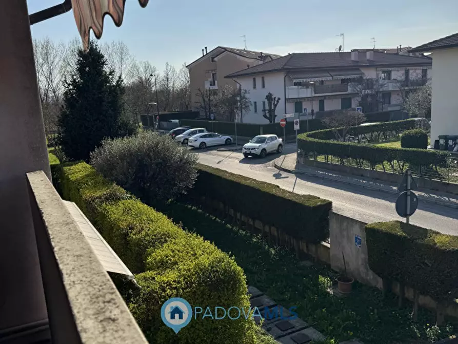 Immagine 13 di Appartamento in vendita  in Via San Pio X a Veggiano