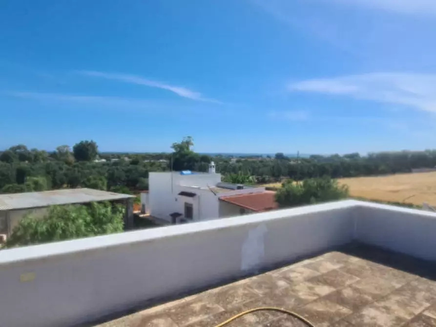 Immagine 15 di Villa in affitto  in C.da Caselli a Carovigno