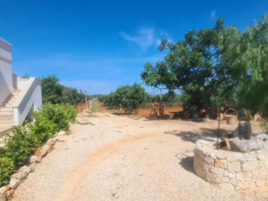 Immagine 19 di Villa in affitto  in C.da Caselli a Carovigno