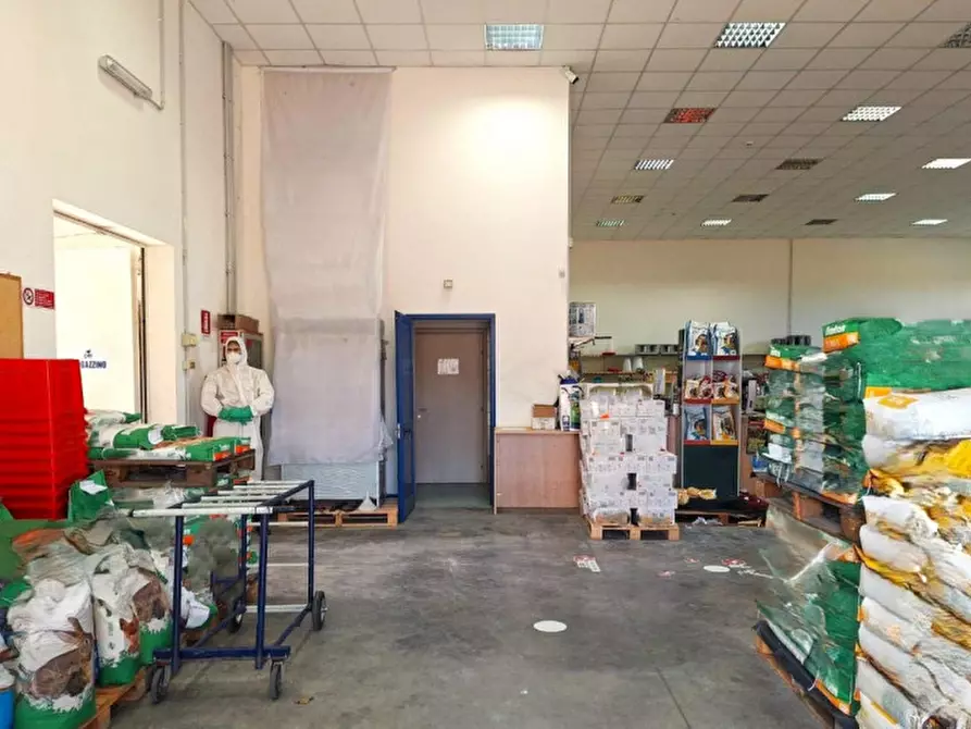 Immagine 2 di Capannone industriale in vendita  in Vocabolo Bodoglie, 06059 Todi PG, Italia a Todi
