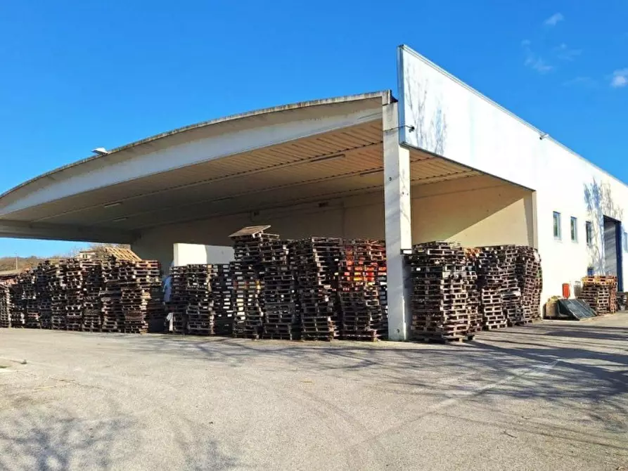 Immagine 7 di Capannone industriale in vendita  in Vocabolo Bodoglie, 06059 Todi PG, Italia a Todi