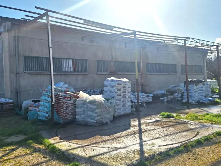 Immagine 9 di Capannone industriale in vendita  in Via Romagna, 06084 Bettona PG, Italia a Bettona