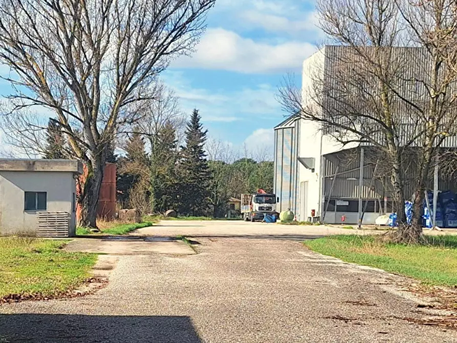 Immagine 2 di Capannone industriale in vendita  in Via Passerella, 06084 Bettona PG, Italia a Bettona