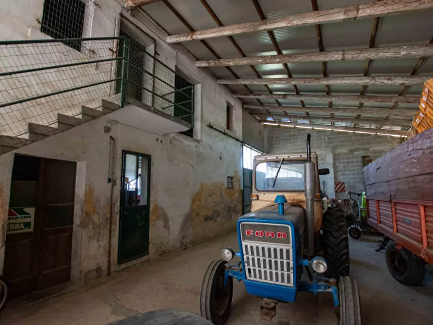 Immagine 35 di Appartamento in vendita  in Via Gondulmera a San Donà Di Piave