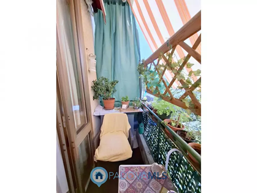 Immagine 4 di Casa bifamiliare in vendita  in Via Marco Zoppo a Padova