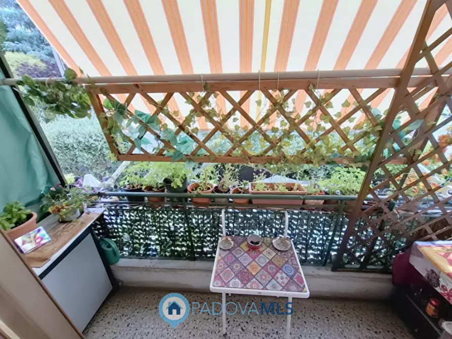 Immagine 7 di Casa bifamiliare in vendita  in Via Marco Zoppo a Padova