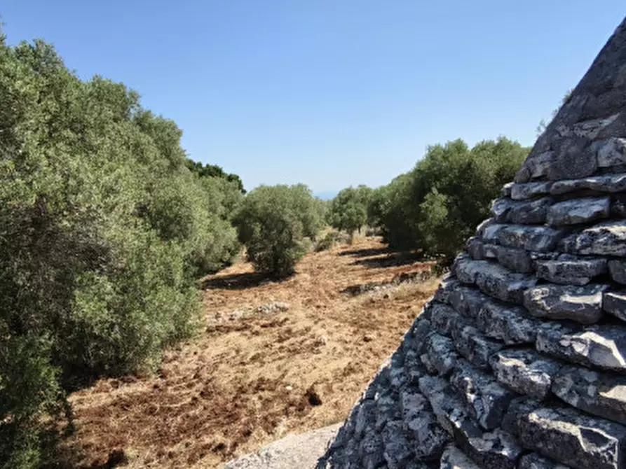 Immagine 1 di Terreno in vendita  in Via Vecchia di Laureto a Fasano