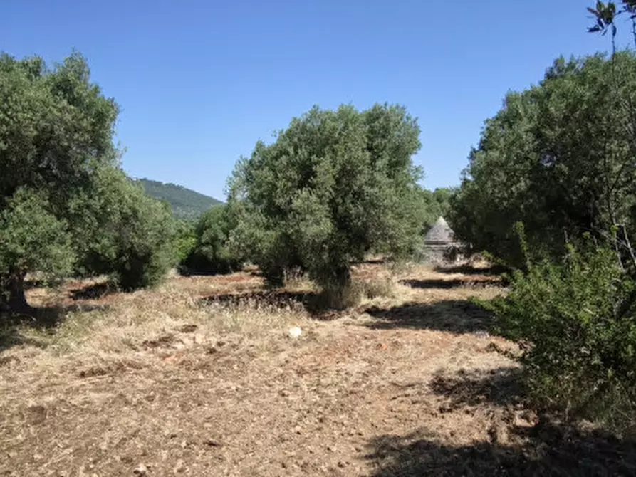 Immagine 2 di Terreno in vendita  in Via Vecchia di Laureto a Fasano