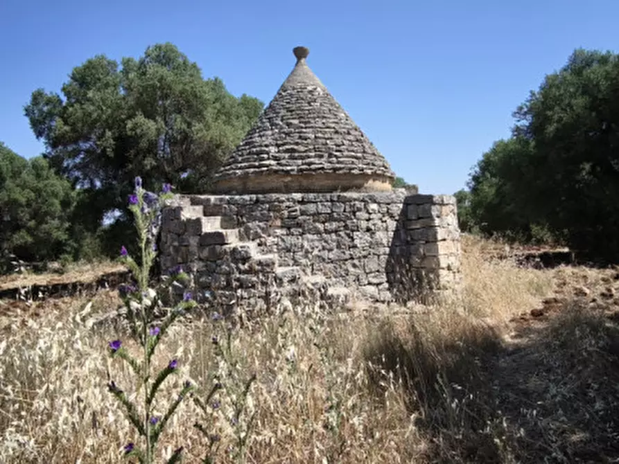 Immagine 4 di Terreno in vendita  in Via Vecchia di Laureto a Fasano