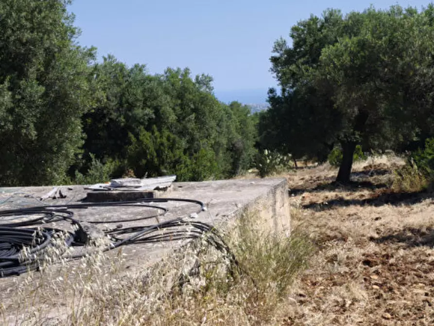 Immagine 8 di Terreno in vendita  in Via Vecchia di Laureto a Fasano