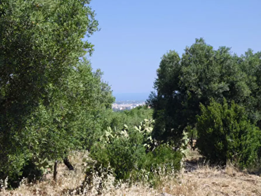 Immagine 9 di Terreno in vendita  in Via Vecchia di Laureto a Fasano