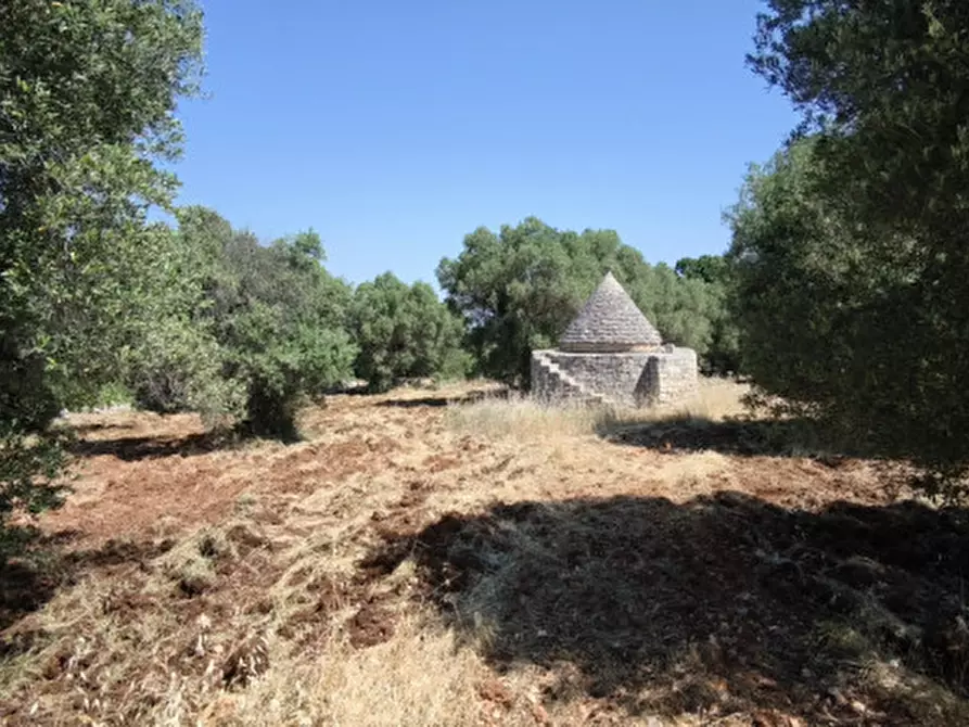 Immagine 11 di Terreno in vendita  in Via Vecchia di Laureto a Fasano