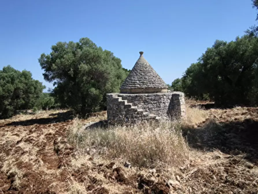 Immagine 12 di Terreno in vendita  in Via Vecchia di Laureto a Fasano