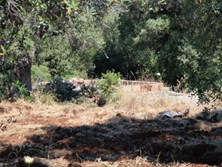 Immagine 13 di Terreno in vendita  in Via Vecchia di Laureto a Fasano