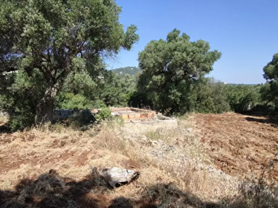 Immagine 15 di Terreno in vendita  in Via Vecchia di Laureto a Fasano