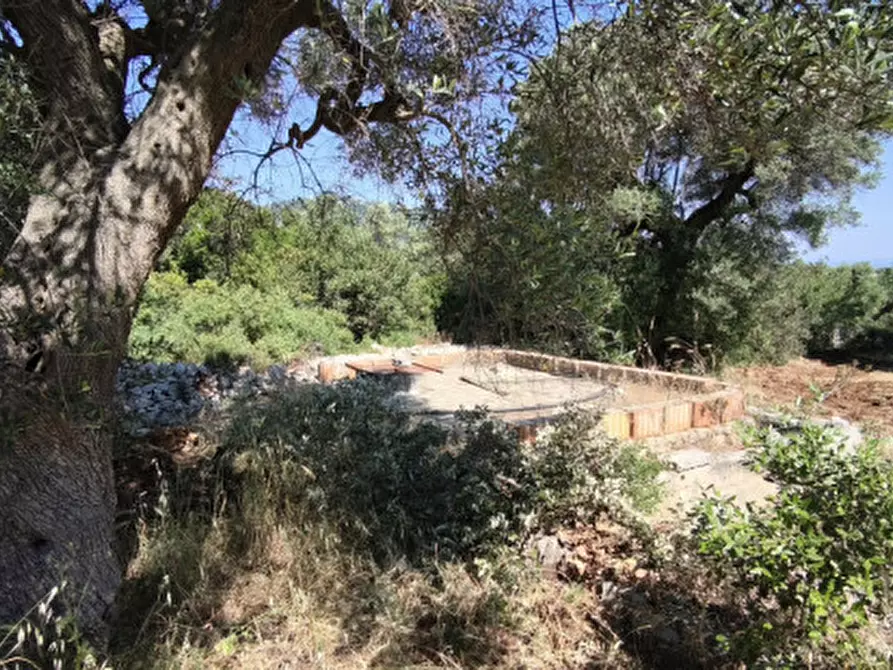 Immagine 16 di Terreno in vendita  in Via Vecchia di Laureto a Fasano