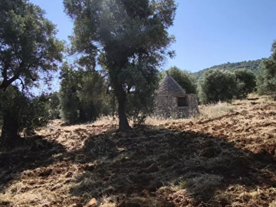 Immagine 17 di Terreno in vendita  in Via Vecchia di Laureto a Fasano