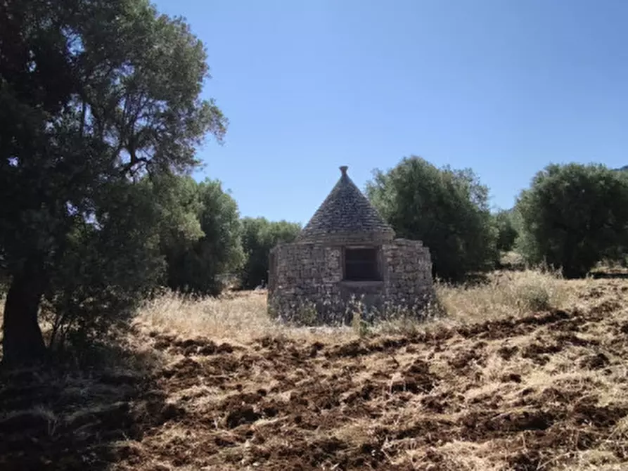 Immagine 18 di Terreno in vendita  in Via Vecchia di Laureto a Fasano