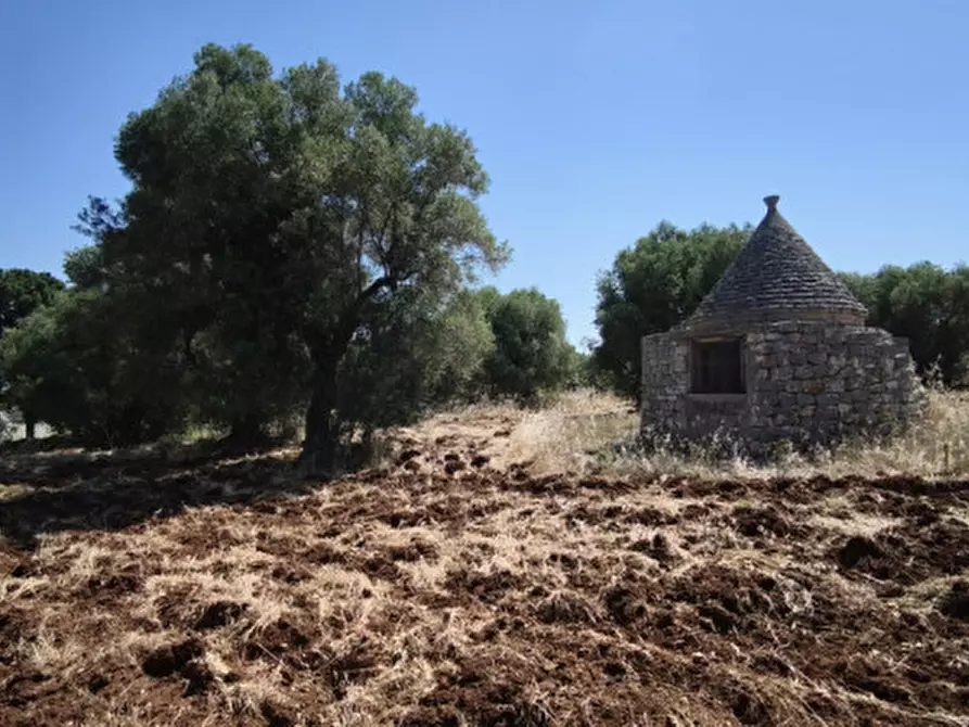 Immagine 19 di Terreno in vendita  in Via Vecchia di Laureto a Fasano