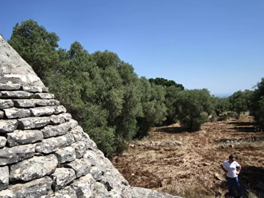 Immagine 22 di Terreno in vendita  in Via Vecchia di Laureto a Fasano
