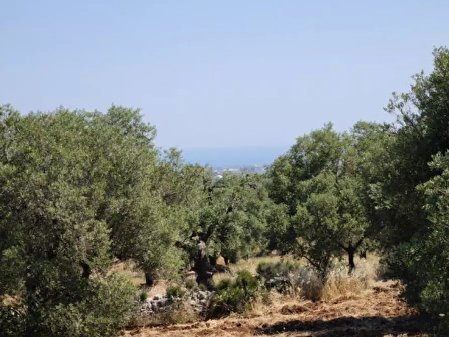 Immagine 23 di Terreno in vendita  in Via Vecchia di Laureto a Fasano