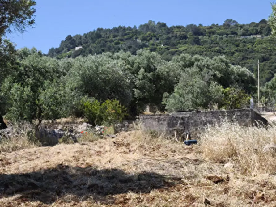 Immagine 24 di Terreno in vendita  in Via Vecchia di Laureto a Fasano