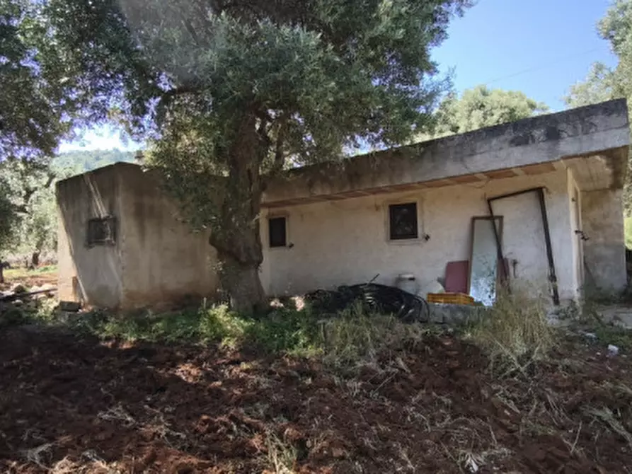 Immagine 25 di Terreno in vendita  in Via Vecchia di Laureto a Fasano