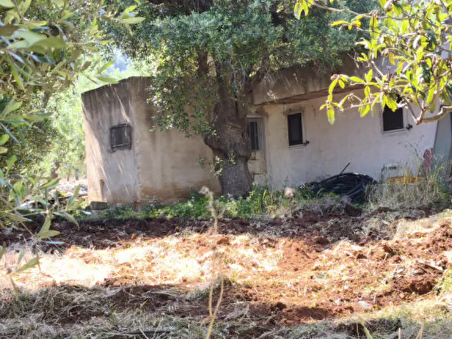 Immagine 26 di Terreno in vendita  in Via Vecchia di Laureto a Fasano