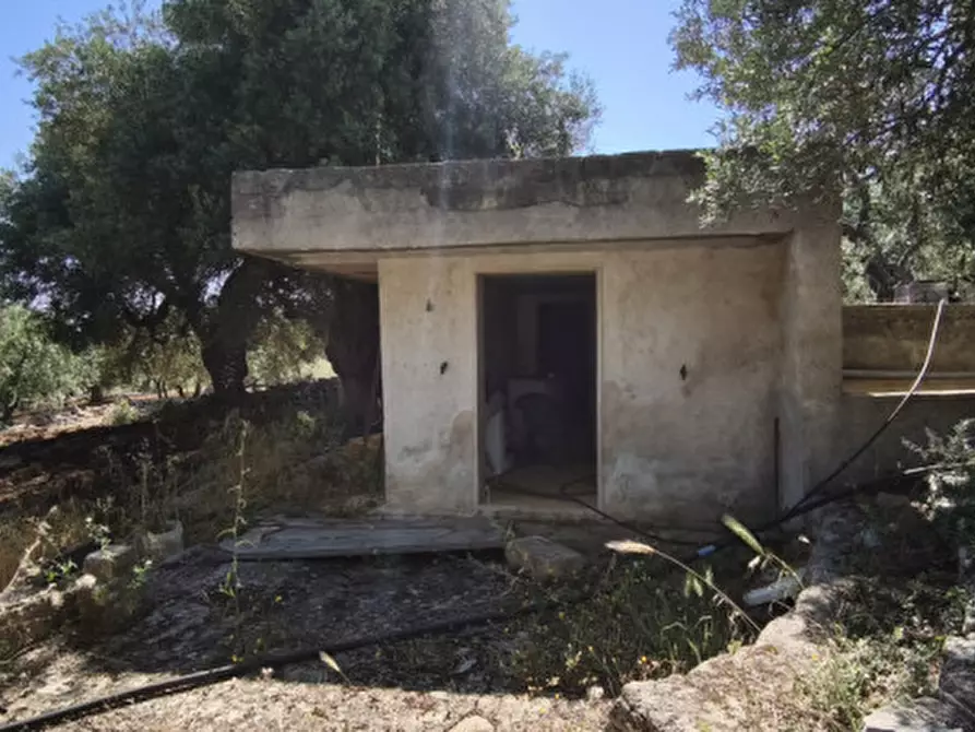 Immagine 27 di Terreno in vendita  in Via Vecchia di Laureto a Fasano