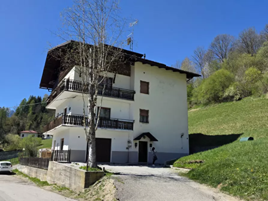 Immagine 2 di Appartamento in vendita  in Via Giuseppe Mazzini 13 a San Pietro Di Cadore