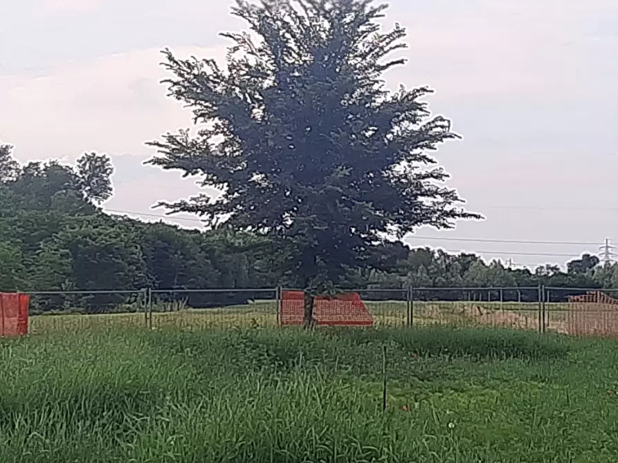 Immagine 3 di Appartamento in vendita  in Via Menegale - Via San Francesco a Campodarsego