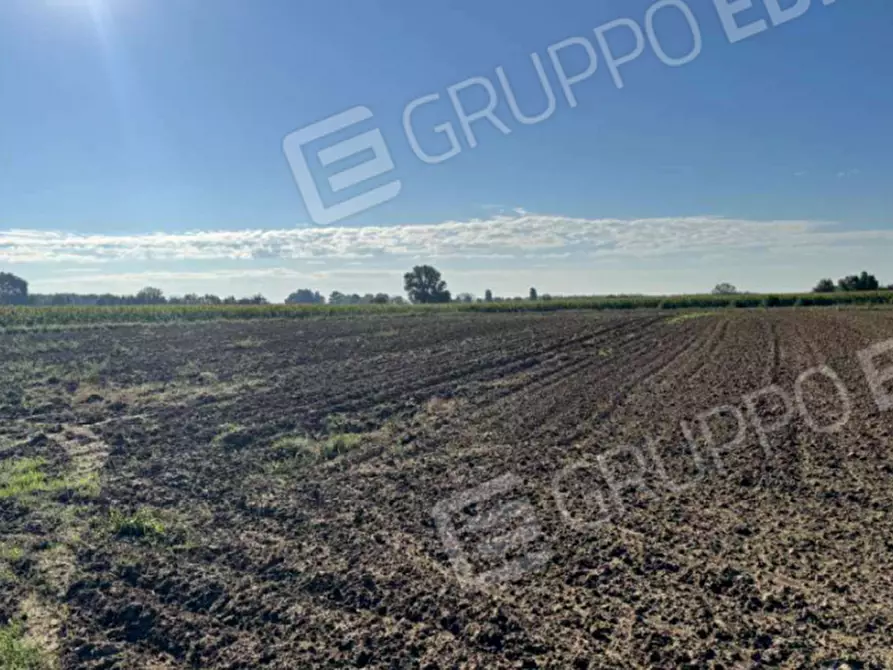 Immagine 3 di Terreno in vendita  in Via Corte Casalino a Roverchiara