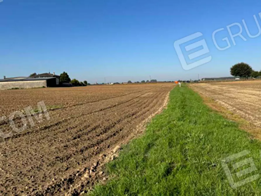 Immagine 4 di Terreno in vendita  in Via Corte Casalino a Roverchiara