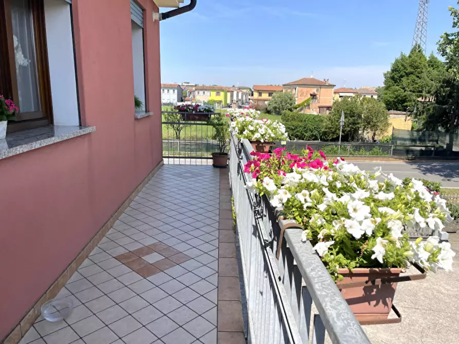 Immagine 16 di Appartamento in vendita  in Via villa del bosco a Pontelongo