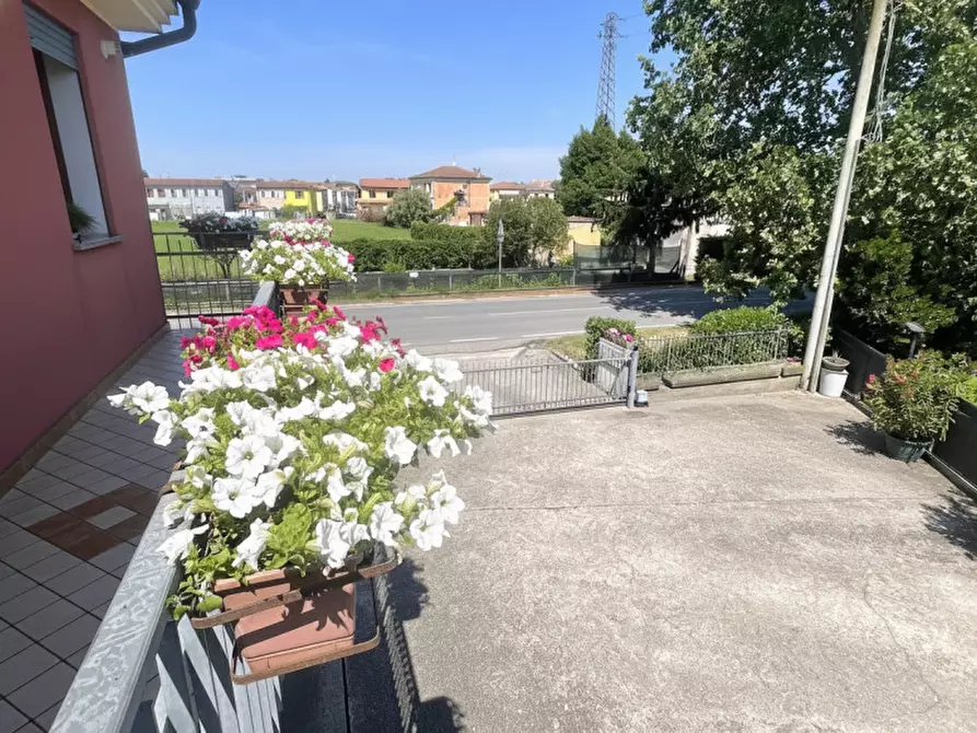 Immagine 17 di Appartamento in vendita  in Via villa del bosco a Pontelongo