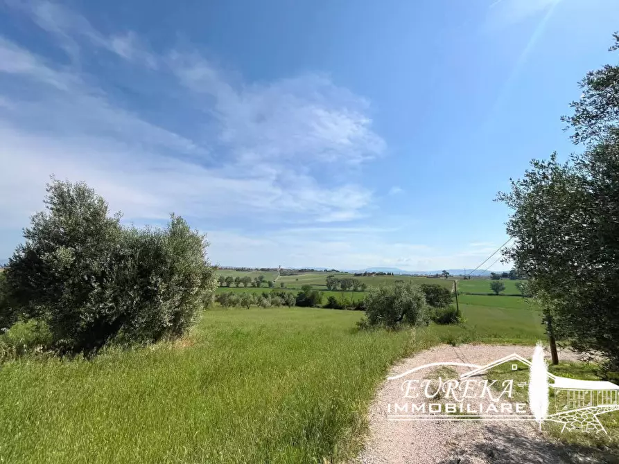 Immagine 36 di Appartamento in vendita  in Sanfatucchio a Castiglione Del Lago