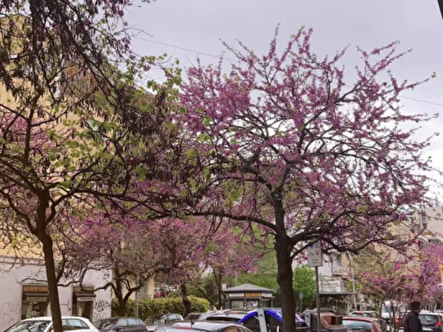Immagine 9 di Attività commerciale in vendita  in Via Giacinto Carini a Roma
