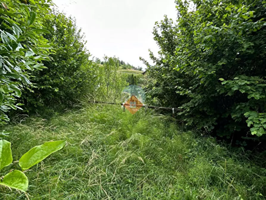 Immagine 13 di Appartamento in vendita  a Villa Lagarina