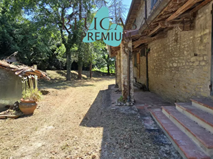 Immagine 5 di Villa in vendita  in Cusercoli a Civitella Di Romagna