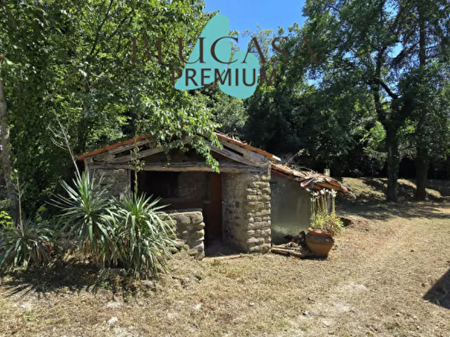 Immagine 7 di Villa in vendita  in Cusercoli a Civitella Di Romagna