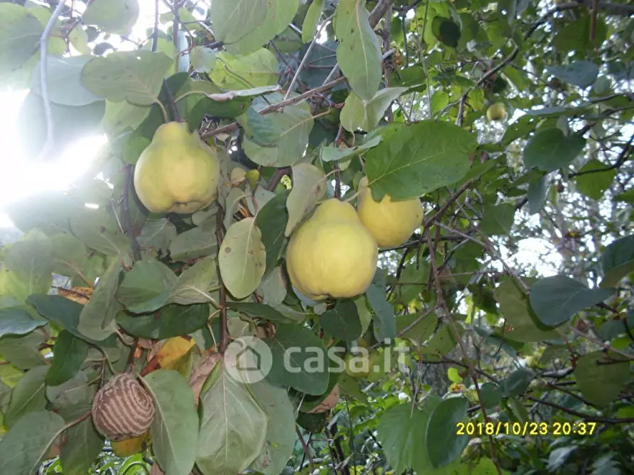 Immagine 9 di Rustico / casale in vendita  in Località Santa Giuliana, 6019 a Umbertide