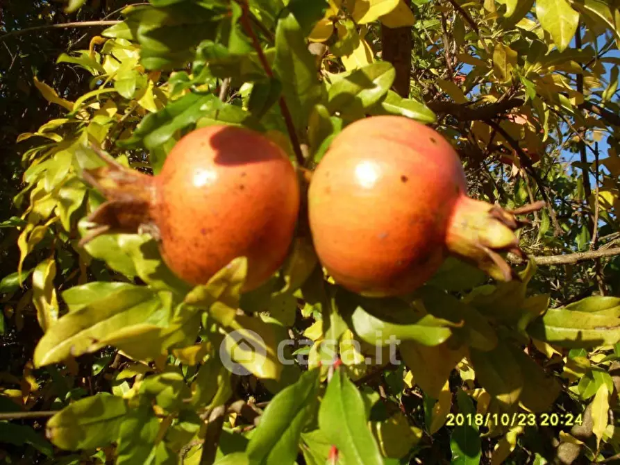 Immagine 10 di Rustico / casale in vendita  in Località Santa Giuliana, 6019 a Umbertide